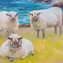 Three Sheep by the Sea 24x24, acrylic on canvas